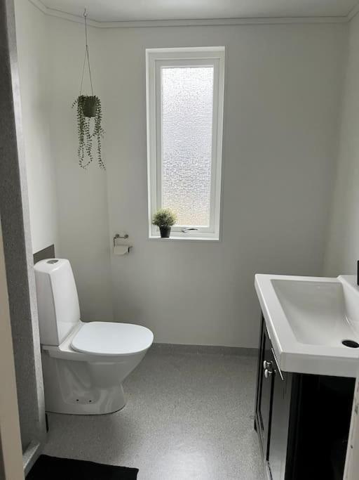 Apartment In The Center Of Torshavn, Free Parking. المظهر الخارجي الصورة